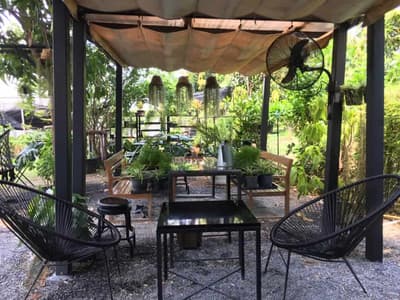 Farmily - a cafe in farm ฟาร์มมิลี่ คาเฟ่ 4