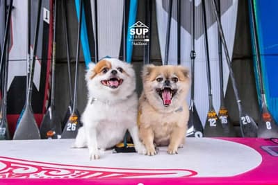 SUP Station Thailand (ปทุมธานี) 6