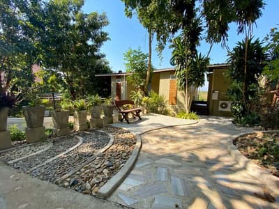 Kwainoyriverpark Resort 6