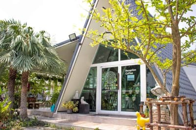 Patoey House 2