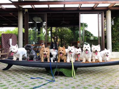 SUP Station Thailand (ปทุมธานี) 2