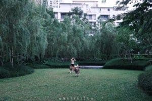 CRAFT @ Kimpton Maa-Lai Bangkok 9