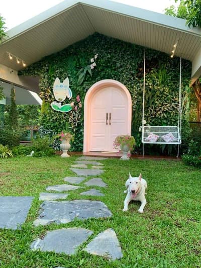 Jungle De Woof (ทวีวัฒนา) 4