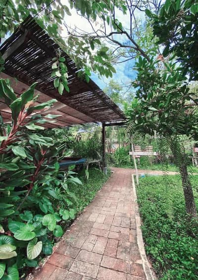 Family Garden (สามพราน) 7