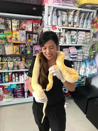 Maeluan Animal Hospital Phuket (โรงพยาบาลสัตว์แม่หลวนภูเก็ต) 2