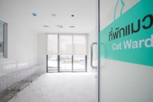 3DPet Hospital & Hotel (โรงพยาบาลสัตว์ ทรี ดี เพ็ท) 1