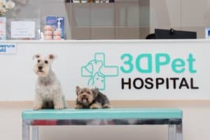 3DPet Hospital & Hotel (โรงพยาบาลสัตว์ ทรี ดี เพ็ท) 5