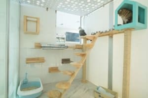 3DPet Hospital & Hotel (โรงพยาบาลสัตว์ ทรี ดี เพ็ท) 6