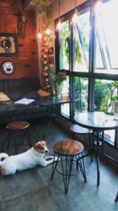 Le Arte - Crafts & Cafe (นนทบุรี) 4