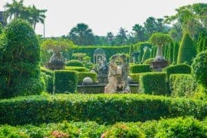 Nongnooch Garden (สวนนงนุช พัทยา) 1