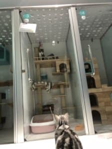3DPet Hospital & Hotel (โรงพยาบาลสัตว์ ทรี ดี เพ็ท) 8