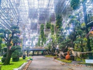 Nongnooch Garden (สวนนงนุช พัทยา) 6