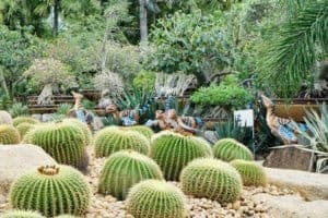 Nongnooch Garden (สวนนงนุช พัทยา) 8