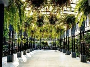The Gardens of Dinsor Palace (เดอะการ์เด้นส์ ออฟ ดินสอพาเลซ) 6
