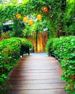 The Gardens of Dinsor Palace (เดอะการ์เด้นส์ ออฟ ดินสอพาเลซ) 8