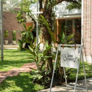 H dining (สุขุมวิท 38) 2
