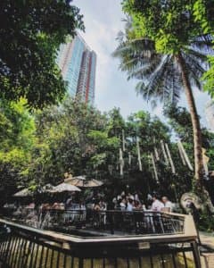 The Gardens of Dinsor Palace (เดอะการ์เด้นส์ ออฟ ดินสอพาเลซ) 9
