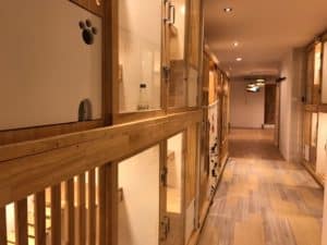 Space Cat Hotel โรงแรมจักรวาลแมว 9