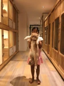 Space Cat Hotel โรงแรมจักรวาลแมว 8