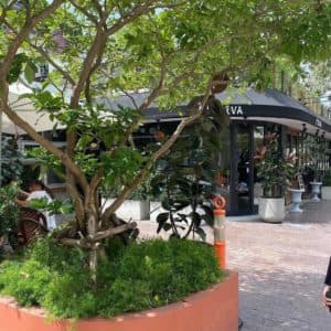 L’OLIVA Bangkok (สุขุมวิท 36) 3