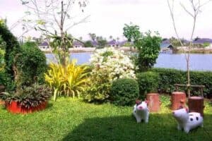 รีสอร์ทริมบึง (Resort Rimbueng Pranburi) 4