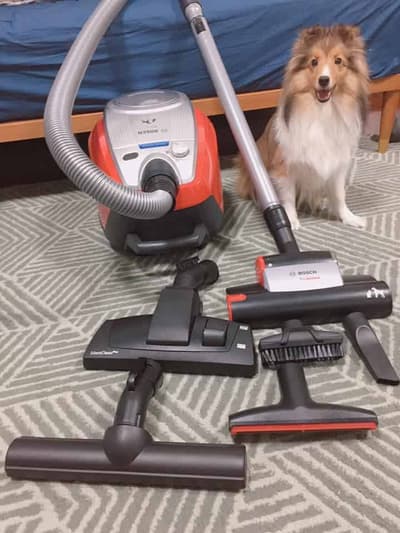 รีวิวเครื่องดูดฝุ่นสัตว์เลี้ยง สำหรับบ้านมีขนสุนัข แมว Dyson Animal pro DC48 vs Bosch Zoo อันไหนดี 1 รีวิวเครื่องดูดฝุ่นสัตว์เลี้ยง สำหรับบ้านมีขนสุนัข แมว Dyson Animal pro DC48 vs Bosch Zoo อันไหนดี 1