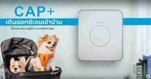 Home 3