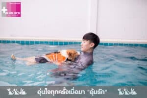 โรงพยาบาลสัตว์อุ้มรัก อ่างศิลา ชลบุรี (Aumluck Hospital) 4