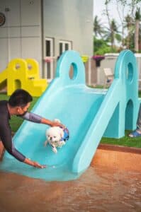 Dog's Paw (ตลิ่งชัน) 4