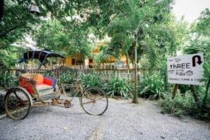 The Three Little Pigs Farm (นครปฐม) 4