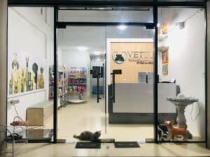 Vetty animal clinic (ปทุมธานี) 1