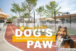 Pet Blog 15