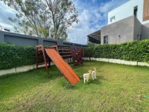 Baan TOTO Pets Hotel (รามคำแหง 118) 2