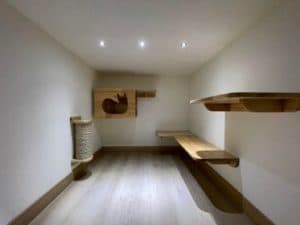 Baan TOTO Pets Hotel (รามคำแหง 118) 4