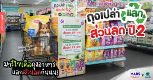 Pet Blog 11