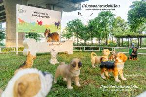 BMA Dog Park สวนวัชราภิรมย์ 1