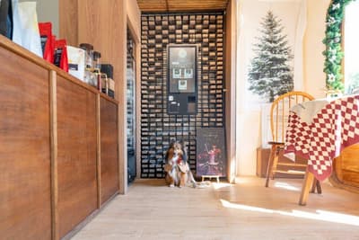 Get Your Paws Ready: 6 Things to Prepare for a Fun Visit to a Dog Friendly Cafe in Bangkok 4 Get Your Paws Ready: 6 Things to Prepare for a Fun Visit to a Dog Friendly Cafe in Bangkok 2