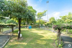 BMA Dog Park สวนวัชราภิรมย์ 3