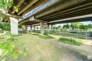 BMA Dog Park สวนวัชราภิรมย์ 4