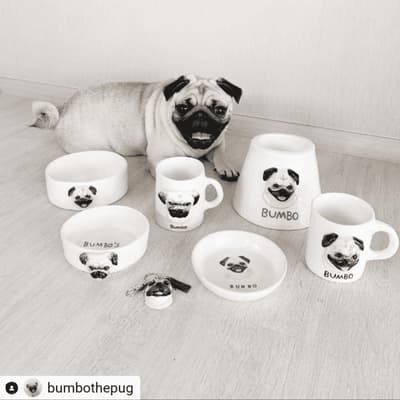 Petmap Art and Craft EP.1 - Mr.H Studio ร้านปั้นเซรามิกสัตว์เลี้ยง 7 Petmap Art and Craft EP.1 - Mr.H Studio ร้านปั้นเซรามิกสัตว์เลี้ยง 6