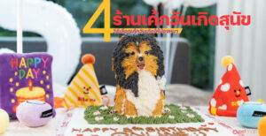 Pet Blog 4