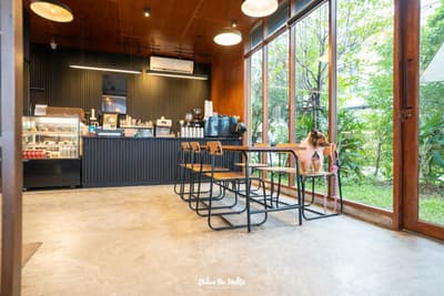 Hotto bun ลาดกระบัง ホットバン ฟีลเจแปน ก็แค่ ลาดกระบัง Pet Friendly ปิด 3 ทุ่ม 13 Hotto bun ลาดกระบัง ホットバン ฟีลเจแปน ก็แค่ ลาดกระบัง Pet Friendly ปิด 3 ทุ่ม 10