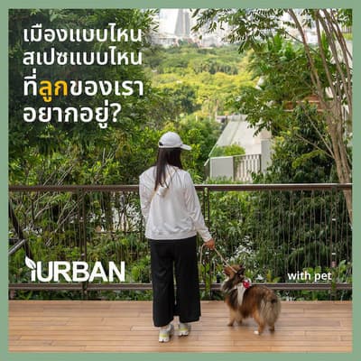 iURBAN
