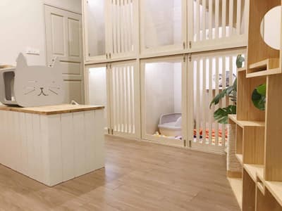 โรงพยาบาลสัตว์เพ็ทเอ็มไพร์ Pet Empire Boutique Pet Hospital 8