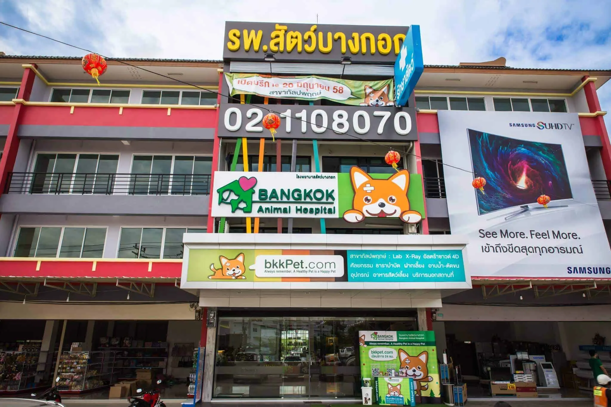 โรงพยาบาลสัตว์บางกอก (กัลปพฤกษ์) Bangkok Animal Hospital (Kallapaphruk) 1