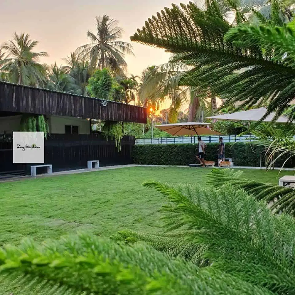 Dog Garden Hotel 1