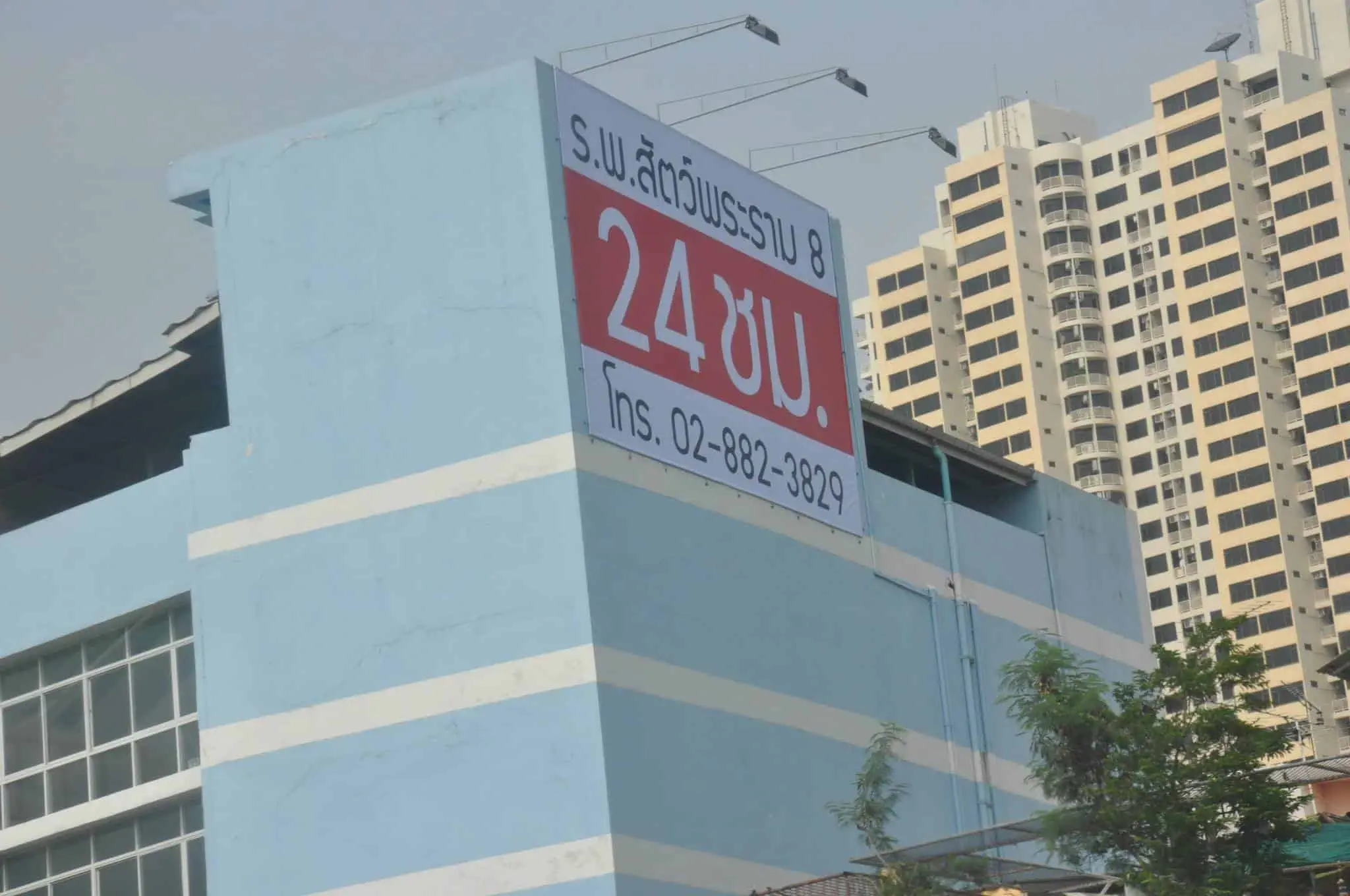 โรงพยาบาลสัตว์พระราม 8 (ปิ่นเกล้า) 1
