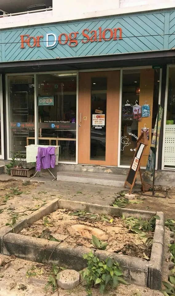 For Dog Salon Paradise Park 1