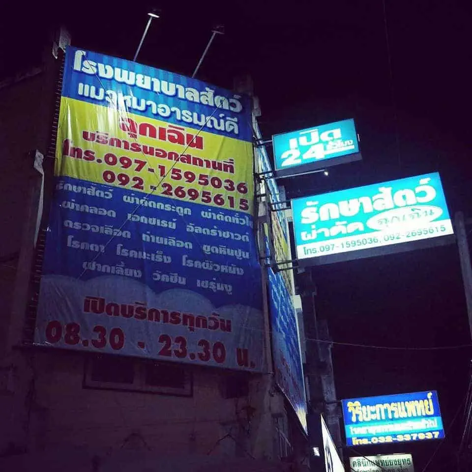 โรงพยาบาลสัตว์แมวหมาอารมณ์ดี 1