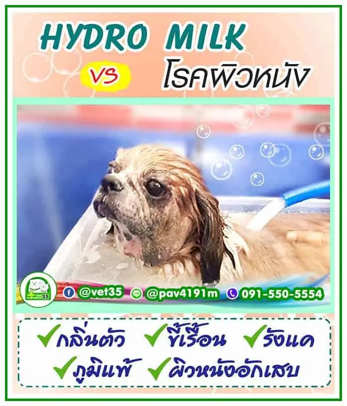 โรงพยาบาลสัตว์ประชาชื่น 35 Vet Prachacheun 35 1